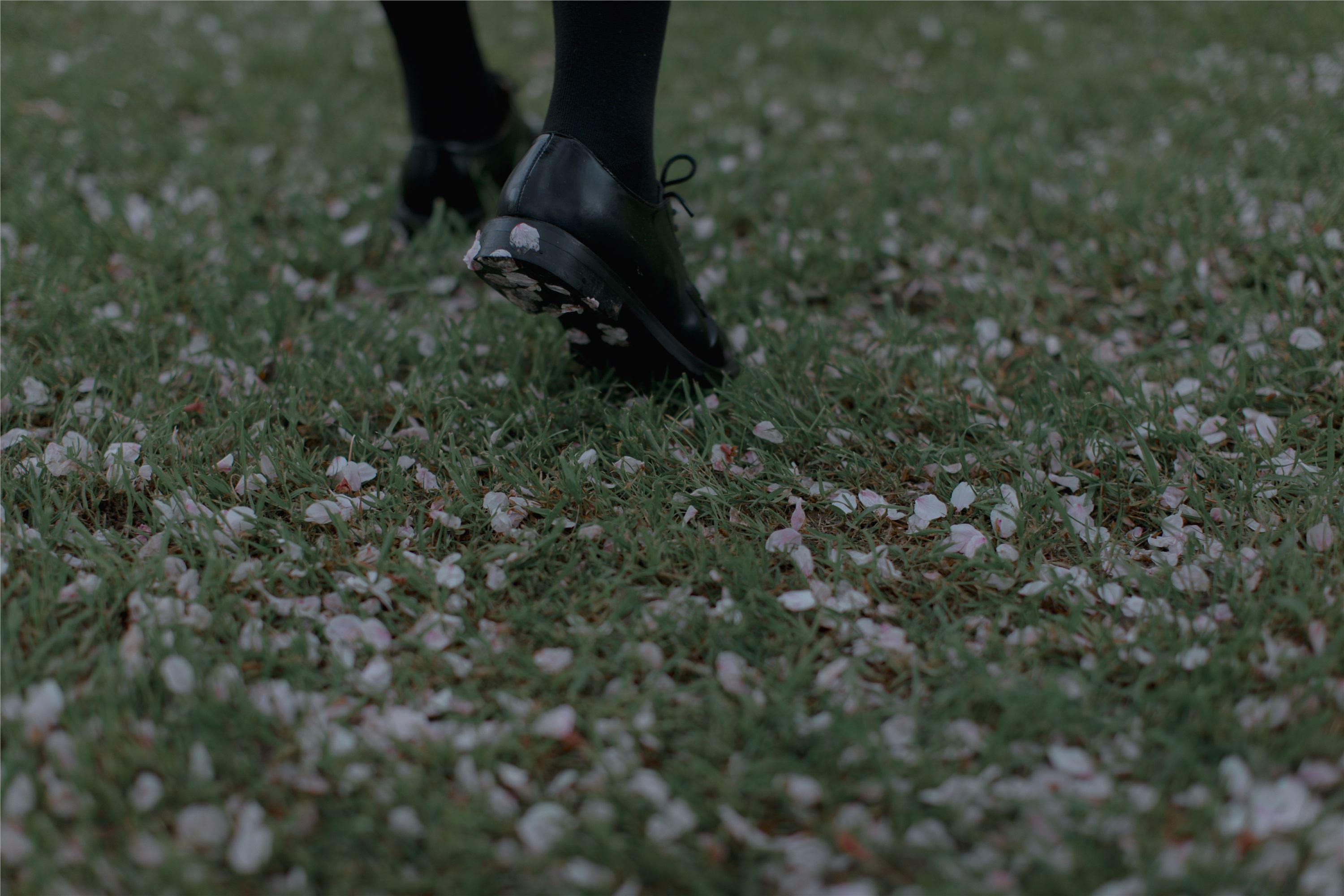 YITUYU艺图语 2021.09.02 樱花渐落 汤兮兮